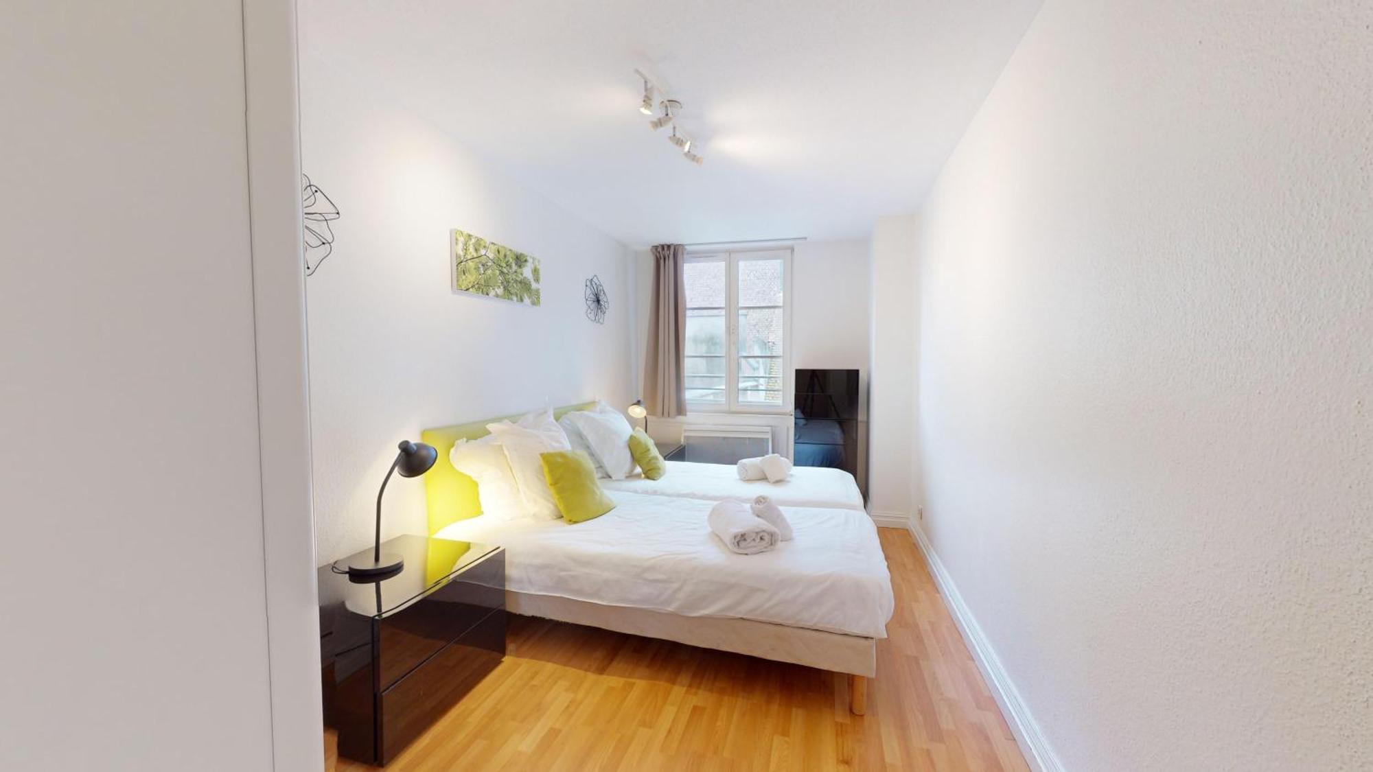70 M² Strasbourg Appart City Center المظهر الخارجي الصورة